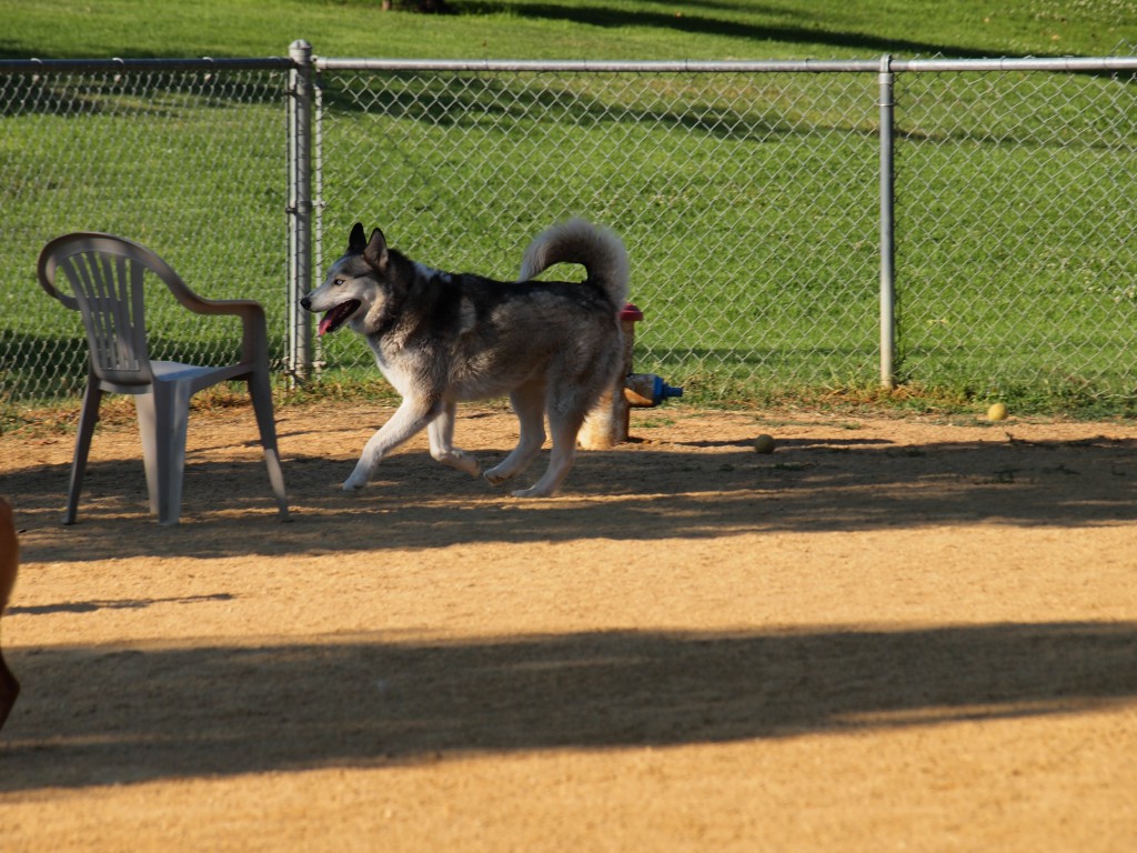 More park fun