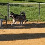 More park fun