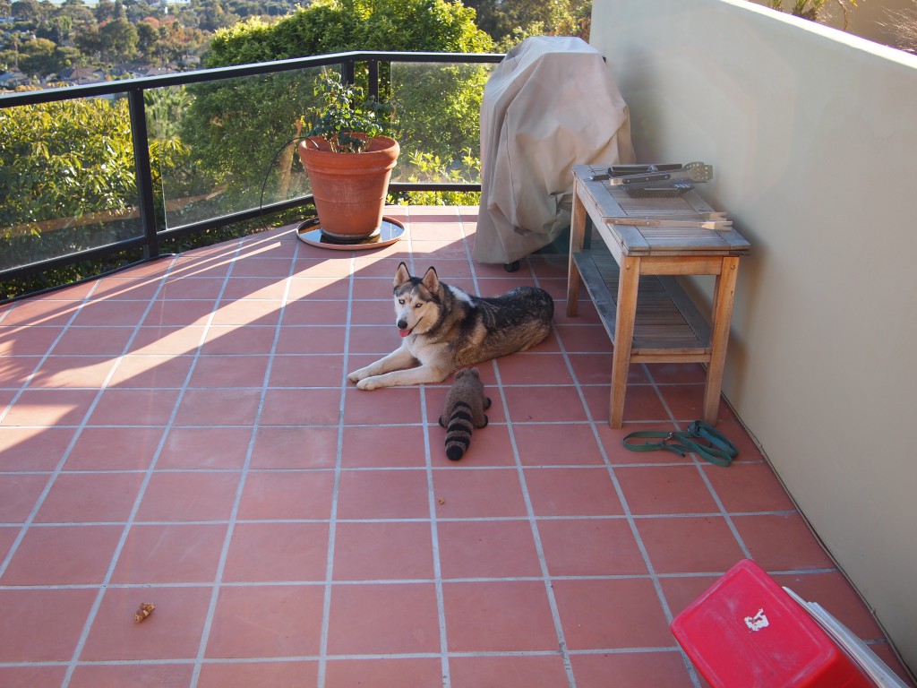 Relaxing with his pal